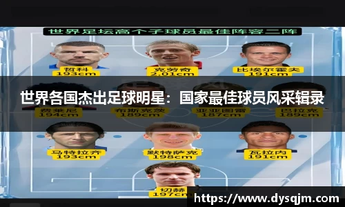 世界各国杰出足球明星：国家最佳球员风采辑录