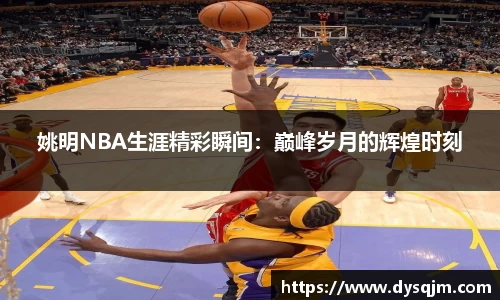 姚明NBA生涯精彩瞬间：巅峰岁月的辉煌时刻